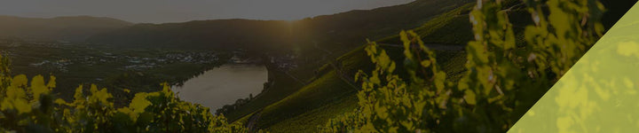 Wein & Sekt – Vielfalt, die begeistert