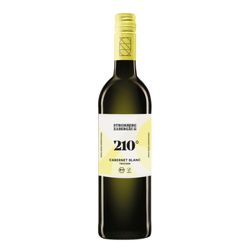 210° Erkundung BIO Cabernet Blanc trocken